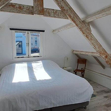 Zilvermeeuw Bergen aan Zee Luaran gambar