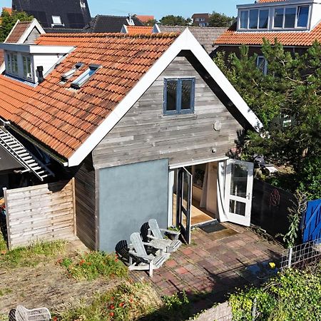 Zilvermeeuw Bergen aan Zee Luaran gambar