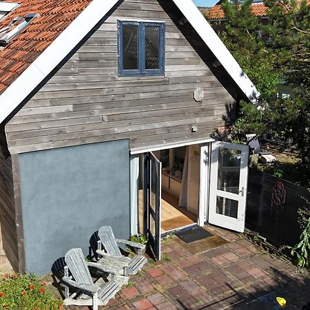 Zilvermeeuw Bergen aan Zee Luaran gambar