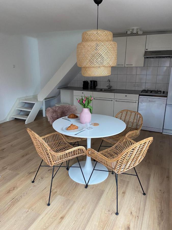 Zilvermeeuw Bergen aan Zee Luaran gambar