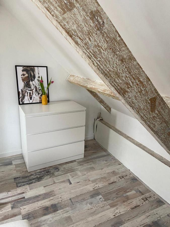Zilvermeeuw Bergen aan Zee Luaran gambar