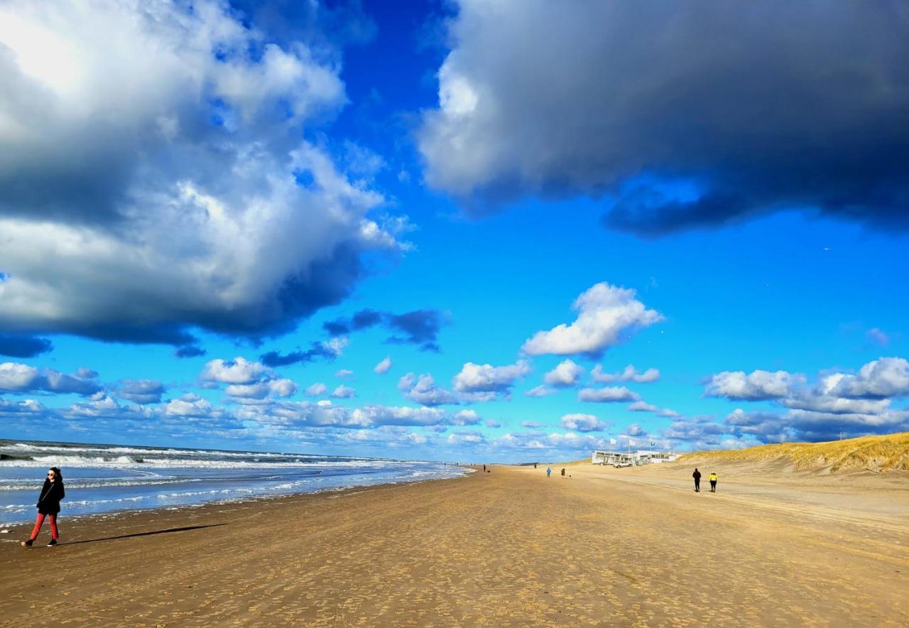 Zilvermeeuw Bergen aan Zee Luaran gambar