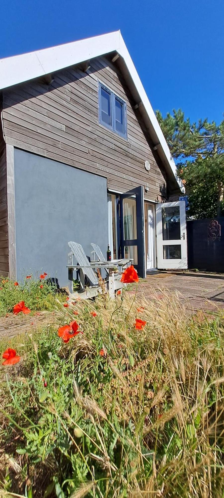 Zilvermeeuw Bergen aan Zee Luaran gambar