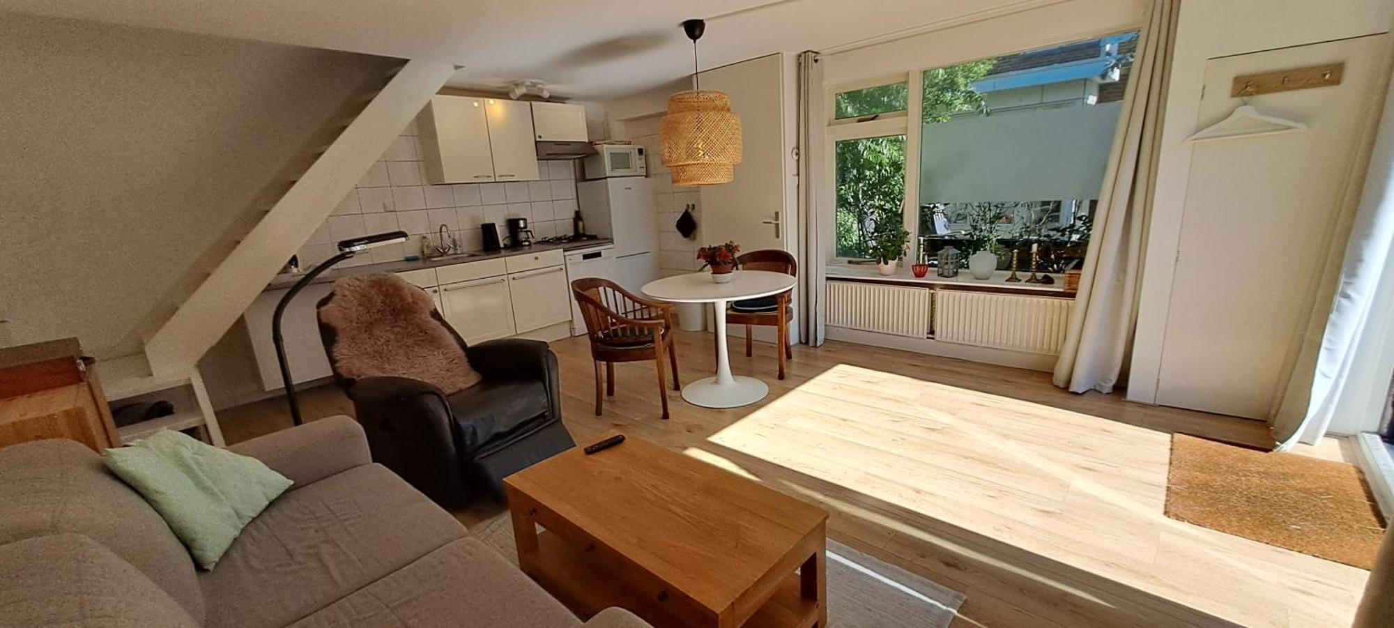 Zilvermeeuw Bergen aan Zee Luaran gambar