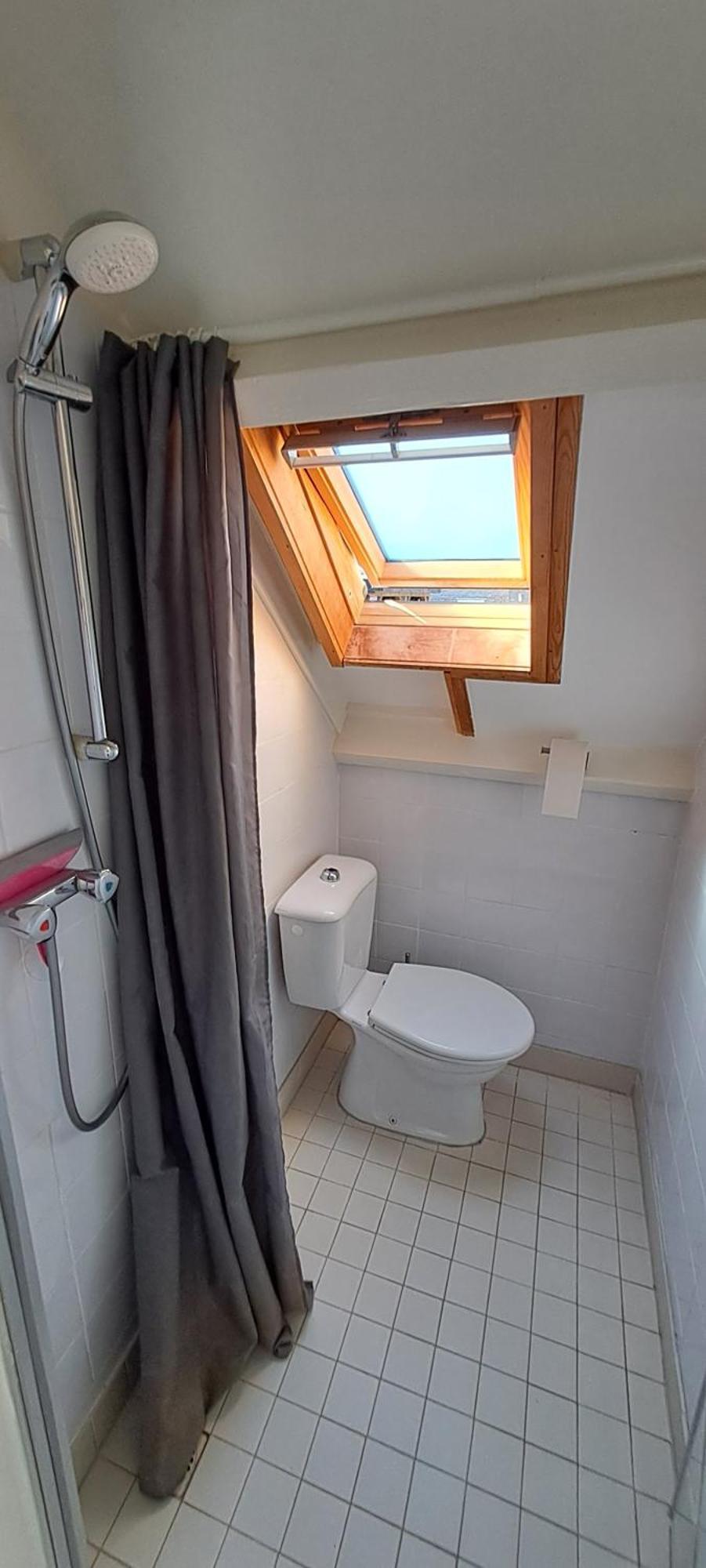 Zilvermeeuw Bergen aan Zee Luaran gambar