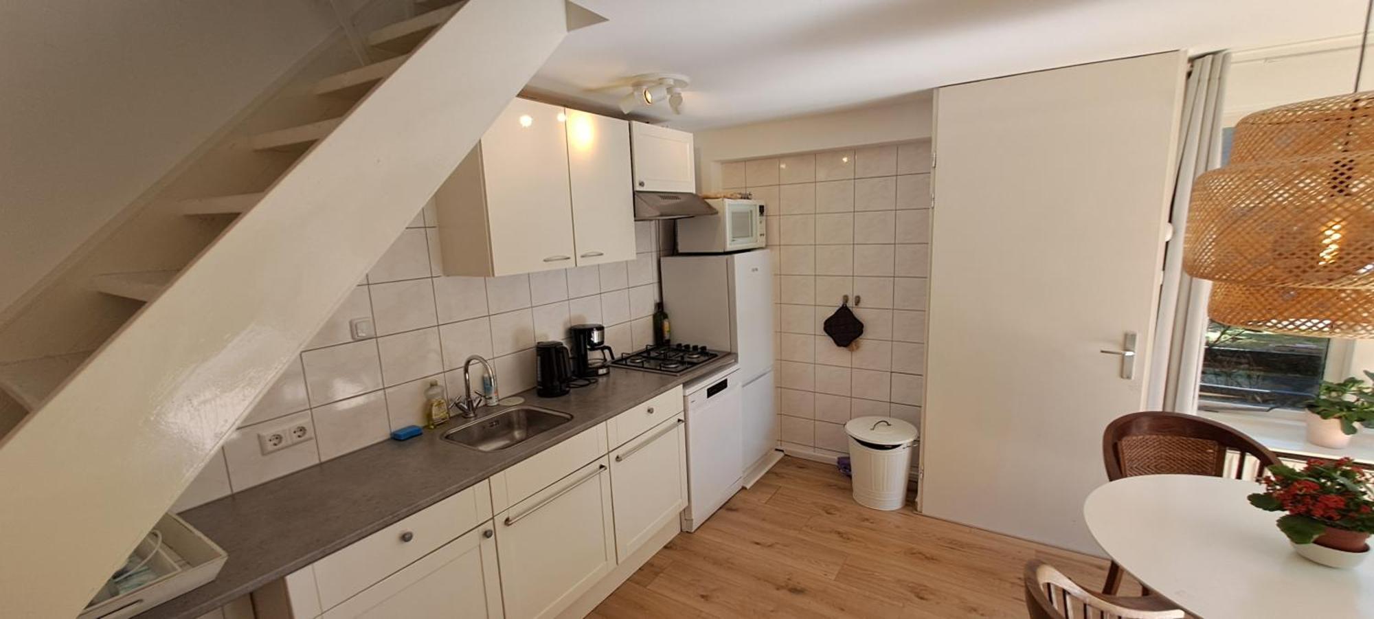 Zilvermeeuw Bergen aan Zee Luaran gambar