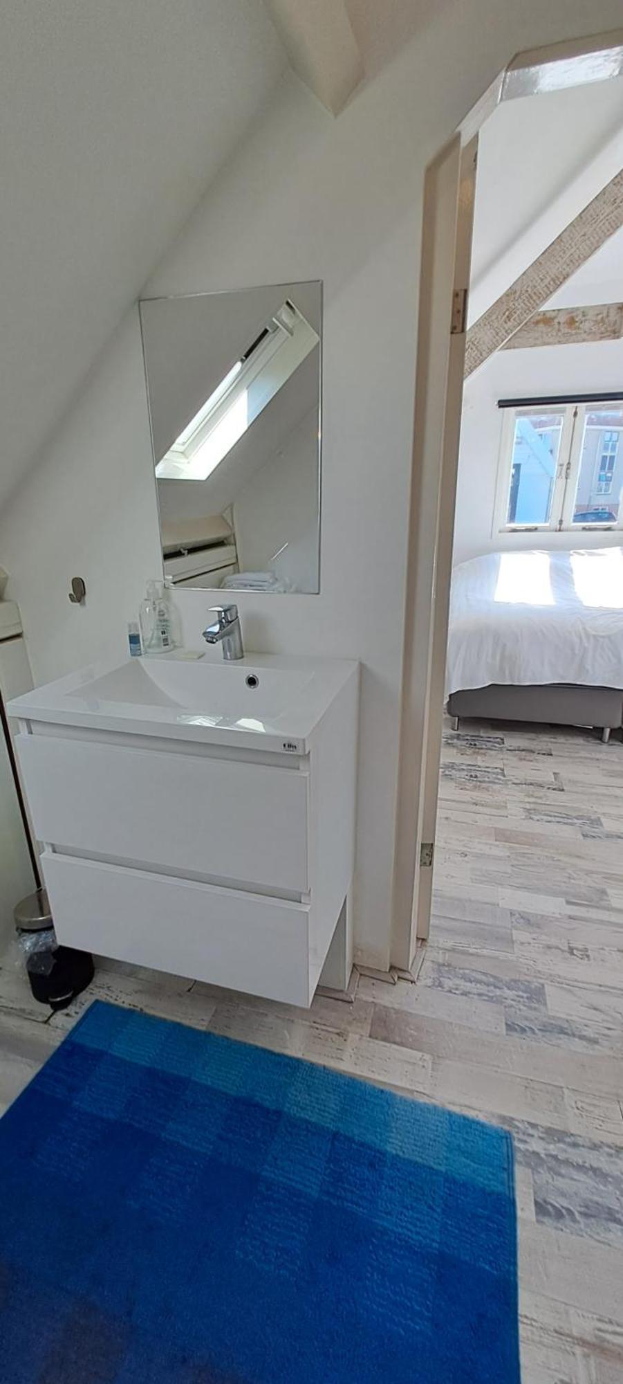 Zilvermeeuw Bergen aan Zee Luaran gambar
